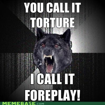 memes-insanity-wolf-torture.jpg?w=480